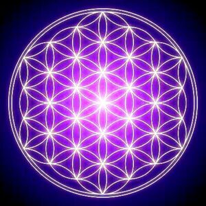 photo-2013-03-02-15-36-13-723